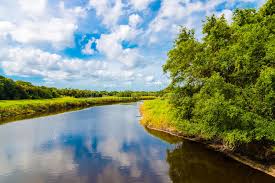 Paisagem Natural Do Verão Com Rio Pantanal Em Florida, EUA Imagem ...